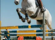 Quiz Es-tu prt(e) pour passer ton Galop 3 ?
