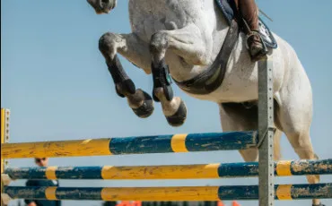 Quiz Galop 3