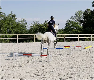 Comment appelle-t-on une série d'obstacles en ligne droite séparée par une ou deux foulées ?