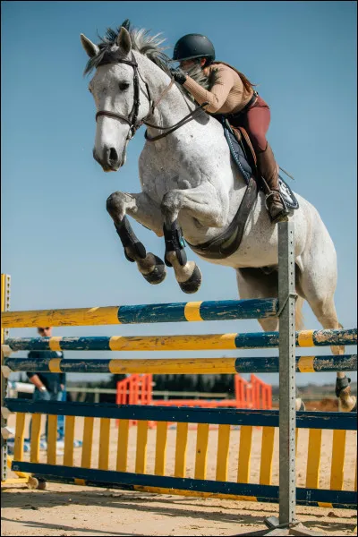 Quel est le mécanisme du saut ?