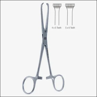 Quel est cet instrument ?