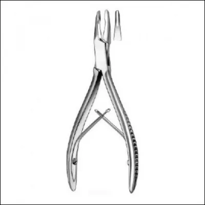 Quels sont les différents noms de cet instrument ?