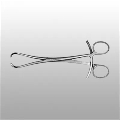 Quel est cet instrument ?