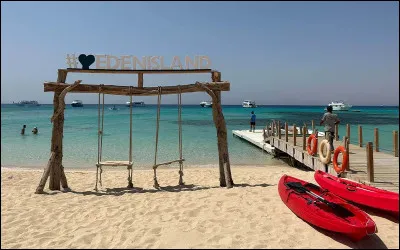 Tu te retrouves sur l'île d'Eden, que fais-tu ?