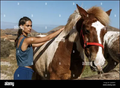 Quel sport pratiques-tu ?