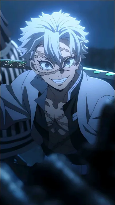 Vrai ou faux ? Sanemi Shinazugawa et Nezuko Kamado de ''Demon Slayer'' sont frère et sur ?