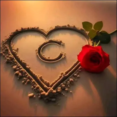 Colibri : quelle affirmation est fausse, le concernant ?