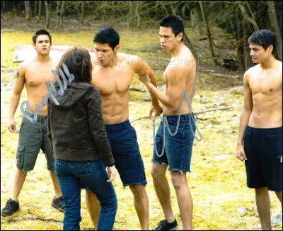 Qui a interprété Sam Uley ?