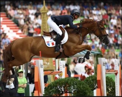 Quelle discipline préfères-tu ?