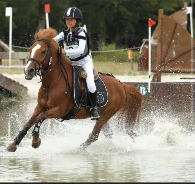 Et enfin quel niveau déquitation as-tu ?