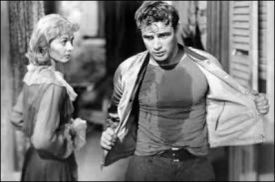 Qui est l'auteur de la pièce théâtre "Un tramway nommé Désir" ?