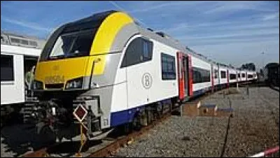 Qu'est ce qu'un train omnibus ?