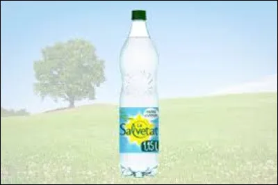 Complétez ce célèbre slogan : "Salvetat : Elle a mis le Sud en bouteille, ..." :