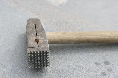 Quelle définition ne correspond pas au mot ferret ?