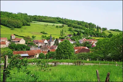 Où trouvait-on un mordaret ?