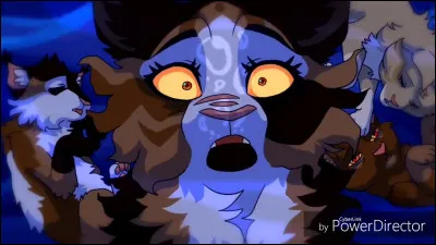 Quel est le nom des chatons d'Ombre d'Érable ?