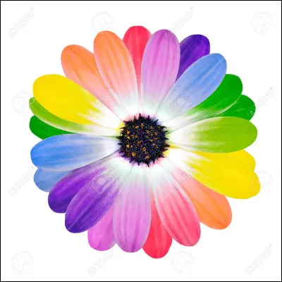 Quelle couleur préfères-tu ?