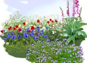 Test Quel fond d'cran de fleur est fait pour toi ?