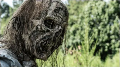 Quand Rick Grimes retourne chez lui dans le premier épisode, il remarque qu'il manque quelque chose dans sa maison. De quoi s'agit t-il ? (Hormis les vêtements)