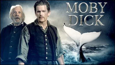 Dans le célèbre roman de Herman Melville, qui porte le nom de Moby Dick ?
