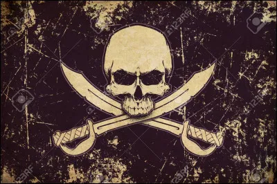 Quel pirate es-tu ?