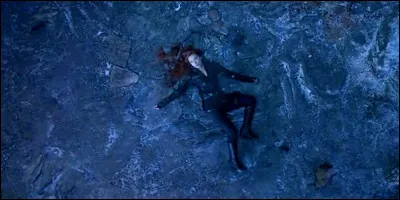 Pour quelle pierre se sacrifie-t-elle ?