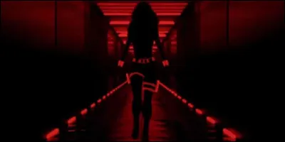 Dans quel programme a-t-elle été entraînée ?