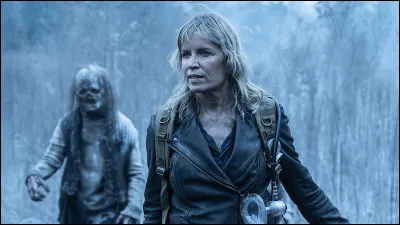 De quelle série provient cette image ?