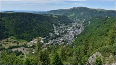 Les monts Dore sont d'origine volcanique.