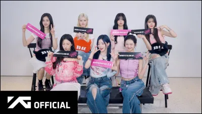 Quel est le fandom de BabyMonster ?