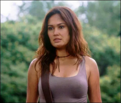 Quelle aventurière est au coeur de cette série diffusée dans les années 90-2000 ?