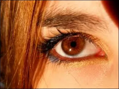 De quelle couleur sont les yeux d'Elva ?