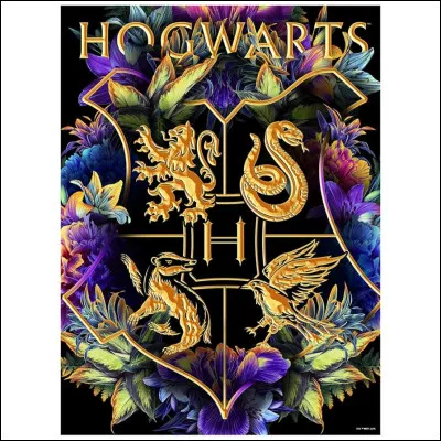 Quelle est ta couleur préférée ?