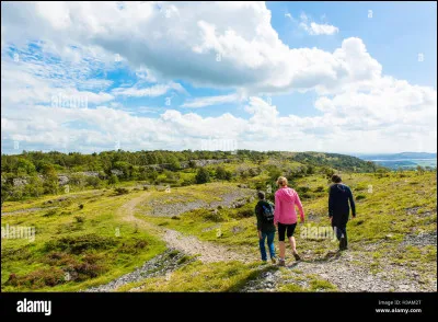 Où préfères-tu aller ?