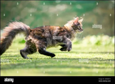 Tu préfères savoir...