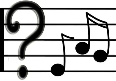 Quel est leur style de musique ?