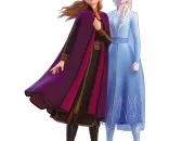 Test Es-tu plus Anna ou Elsa ?