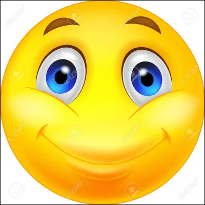 Tu es quelqu'un de plutôt...