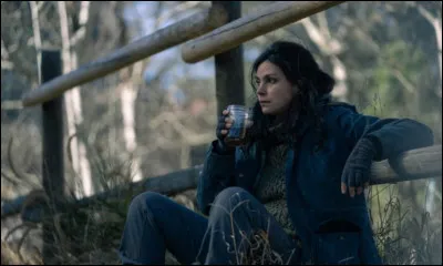 Quel est ce film de George Nolfi où Baccarin joue Nina ?