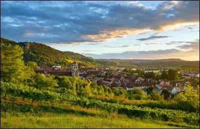 De quel fromage Poligny est-elle reconnue comme la capitale ?