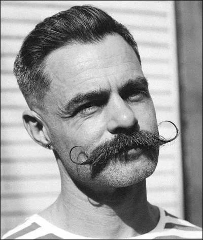 Fei Long est un des protagonistes de...