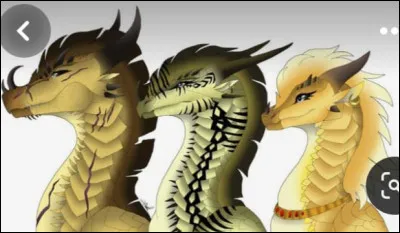 Qui aurais-tu choisi comme reine des Ailes de Sable ?