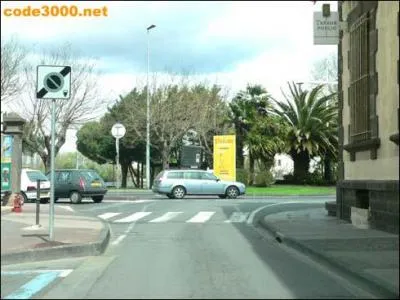 Ce panneau m'indique la sortie d'une zone de stationnement :