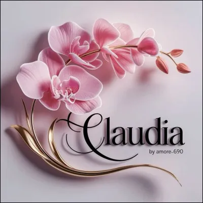 Elle se nomme Cardinale. Dans quel film où Alain Delon est tête d'affiche, n'a-t-elle PAS joué ?