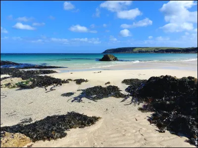 Quel est le nom du ''cordon'' marquant la limite des vagues sur les plages ?