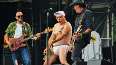 Qui est ce groupe français de rock et de musique humoristique, interprète du titre '' Martine à la plage'' ?