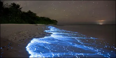 Quel est le nom de ce type de plage ?