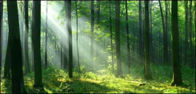 Ton premier entraînement arrive, que souhaiterais-tu que ce soit ?