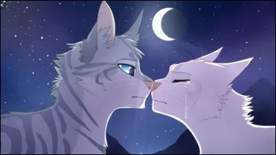 Quel chat existe dans "LGDC" ?