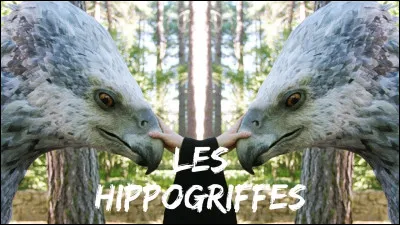 Quel cours pr&eacute;f&egrave;res-tu ?